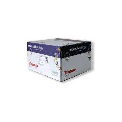 Thermo Scientific™ DNA Purification Mini Kit 