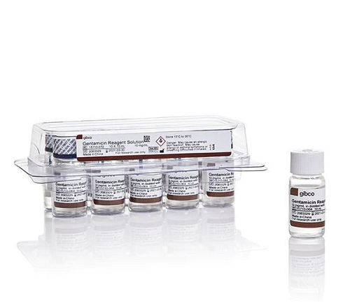 Thermo Fisher Gibco™ Gentamicin 